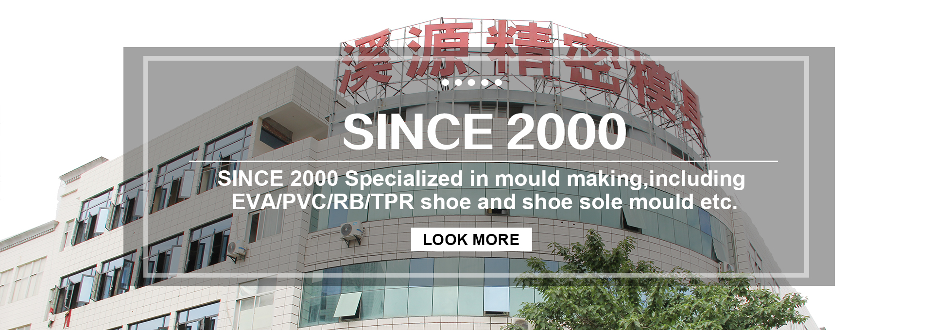 Shoe Mould,Shoe OutSole,EVA Injection Shoes Mould,PVC Air Blowing Shoes Mould,PVC Crystal Shoes Mould